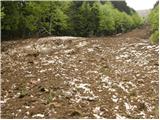 Planina pod Golico - Koča na Golici