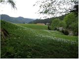 Planina pod Golico - Planina Možine