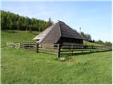 Kraljev hrib - Planina Konjščica (Velika planina)