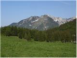 Kraljev hrib - Planina Dol