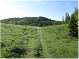 Kraljev hrib - Koritni vrh (Velika planina)