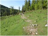 Kraljev hrib - Koritni vrh (Velika planina)