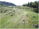 Kraljev hrib - Koritni vrh (Velika planina)