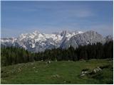 Kraljev hrib - Koritni vrh (Velika planina)