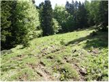 Planina Dol - Gradišče (Velika planina)