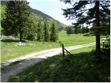 Kraljev hrib - Gradišče (Velika planina)