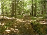 Kraljev hrib - Planina Rzenik