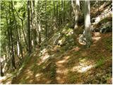 Kraljev hrib - Koritni vrh (Velika planina)