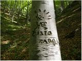 Kraljev hrib - Planina Konjščica (Velika planina)