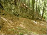 Kraljev hrib - Koritni vrh (Velika planina)