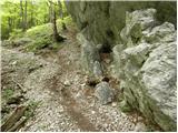 Kraljev hrib - Planina Rzenik