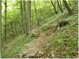 Kraljev hrib - Planina Rzenik