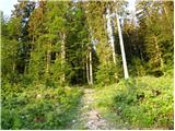 Planina Storeča raven - Planinska koča Merjasec