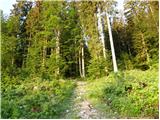 Planina Storeča raven - Planinska koča Merjasec