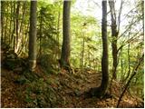 Planina Storeča raven - Planinska koča Merjasec