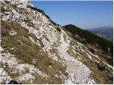 Planina Storeča raven - Vogel