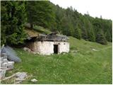 Dovje - Planina Dovška Rožca