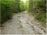 Bistra - Knezova planina (Planina Bela peč)