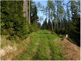 Bistra - Knezova planina (Planina Bela peč)