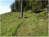 Planina Vodol - Planina Javorje