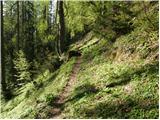 Planina Vodol - Planina Javorje