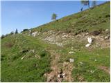 Planina Vodol - Planina Javorje