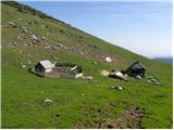 Planina Javorje