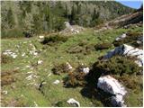 Planina Kosmačeve Rastke - Lanež