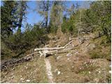 Planina Kosmačeve Rastke - Lanež