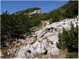 Planina Kosmačeve Rastke - Lanež