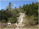 Planina Loka - Velika Raduha