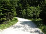 Na kopiš - Planina Spodnja Konjščica