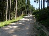 Na kopiš - Planina Spodnja Konjščica