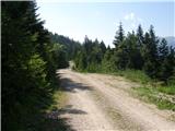 Na kopiš - Planina Spodnja Konjščica