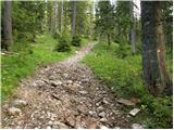 Snežna jama - Planina Arta