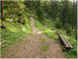 Snežna jama - Planina Arta