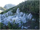 The Krma Valley - Okroglež