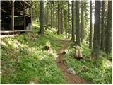 Snežna jama - Planina Arta