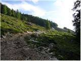 Snežna jama - Planina Arta