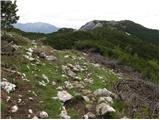 Planina Kosmačeve Rastke - Lanež