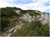 Planina Kosmačeve Rastke - Lanež