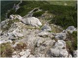 Planina Kosmačeve Rastke - Lanež