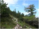 Planina Kosmačeve Rastke - Lanež