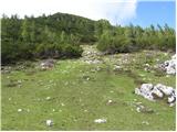 Planina Kosmačeve Rastke - Lanež