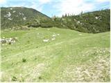 Planina Loka - Kup (na Raduhi)