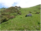 Planina Kosmačeve Rastke - Lanež