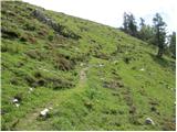 Planina Kosmačeve Rastke - Lanež