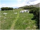 Koprivna (Kumer) - Bistriška špica / Feistritzer Spitze