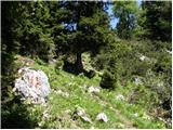 Koprivna (Kumer) - Bistriška špica / Feistritzer Spitze