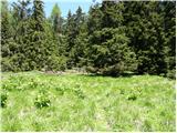 Koprivna (Kumer) - Bistriška špica / Feistritzer Spitze